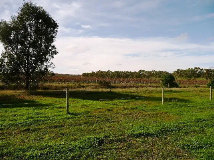 Main view of Homely land listing, Lot 746 Truro Road, Angaston SA 5353