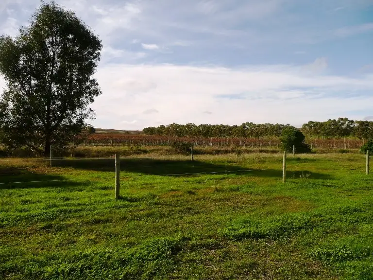 Main view of Homely land listing, Lot 746 Truro Road, Angaston SA 5353