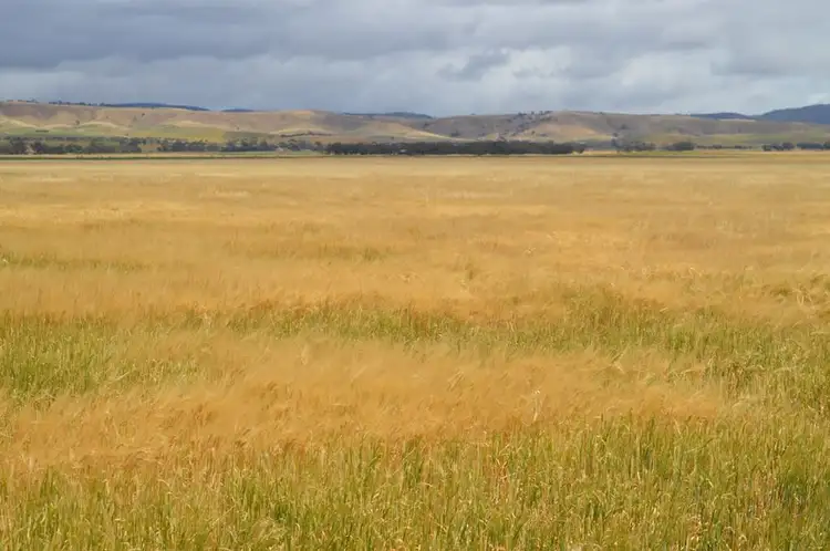 2547 Black Springs Road, Robertstown SA 5381