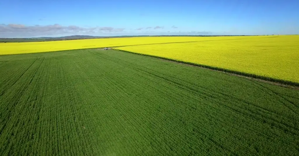 Main view of Homely rural property listing, Address available on request