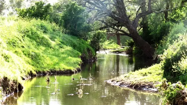 Third view of Homely rural property listing, "Moorabool" New England Highway, Scone NSW 2337