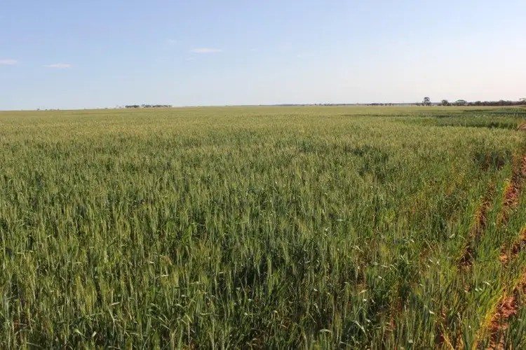Fifth view of Homely rural property listing, Lot 14030 Chandler-Merredin Road, Goomarin WA 6415