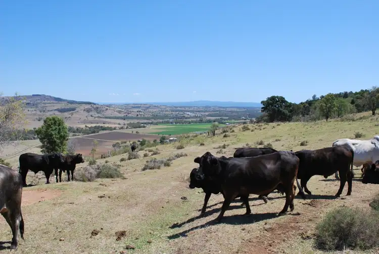 Third view of Homely rural property listing, Address available on request