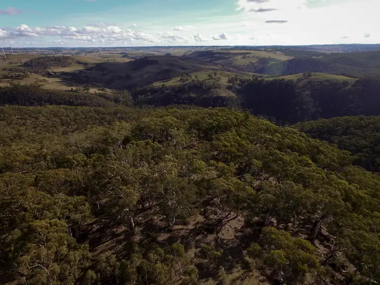 Fourth view of Homely rural property listing, 705 Bannaby Road, Bannaby NSW 2580