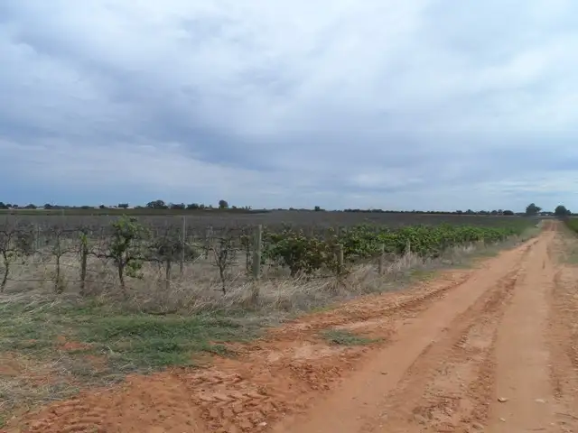 Fifth view of Homely land listing, LOT 2 KINGSBURY, Loxton SA 5333