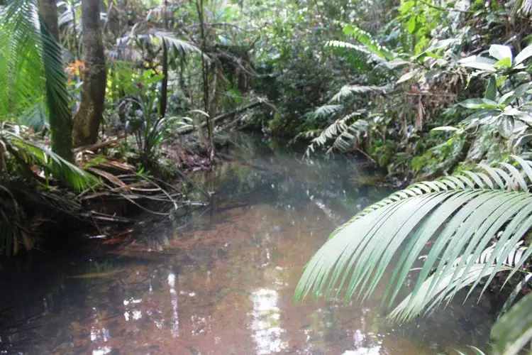 Main view of Homely land listing, 478 Black Bean Road COW BAY, Daintree QLD 4873