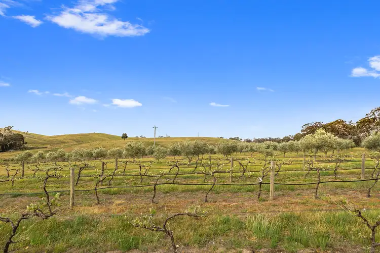 Sixth view of Homely rural property listing, 30 Lintons Lane, Glenhope VIC 3444