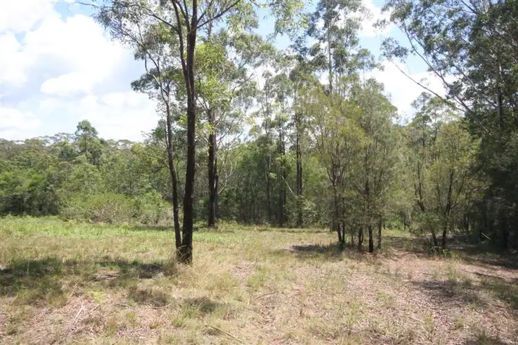Third view of Homely land listing, Lot 48 Storrs Road, Peachester QLD 4519