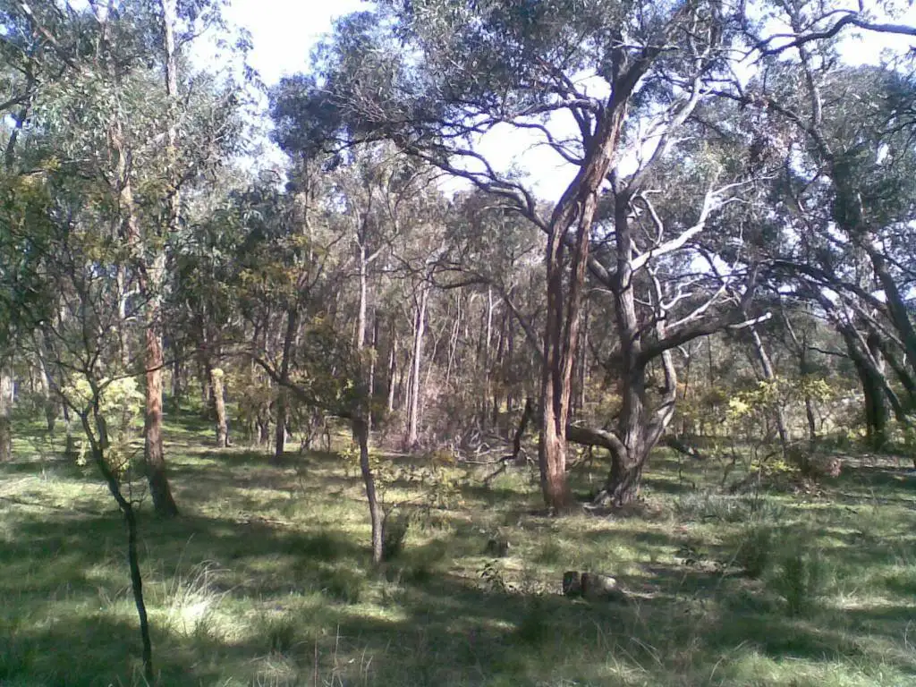Main view of Homely land listing, Lot 14a Finnigans Lane, Beaufort VIC 3373