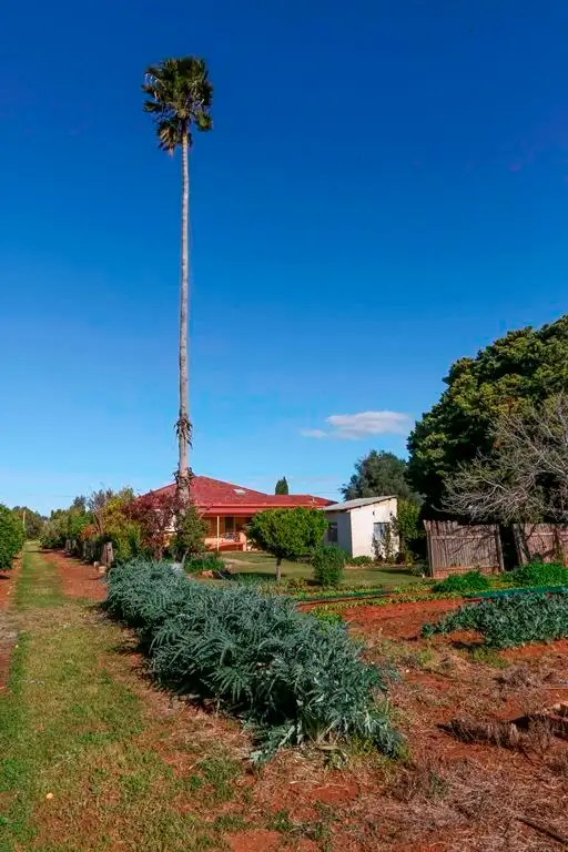 Fourth view of Homely house listing, Lot 2, 1684 Beelbangera Road, Beelbangera NSW 2680