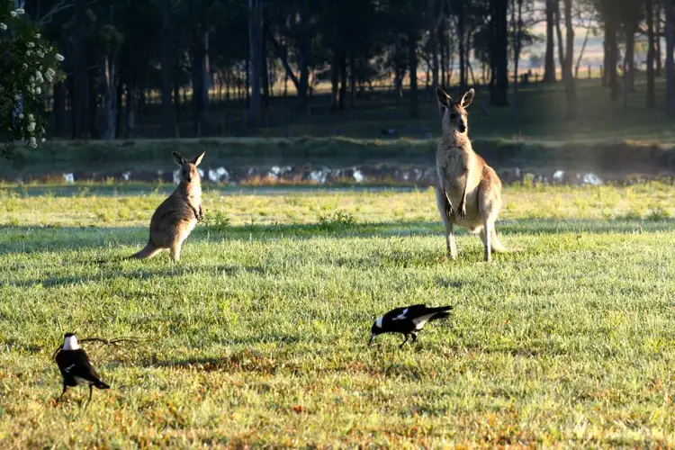 Sixth view of Homely rural property listing, 93 View Street, Vacy NSW 2421