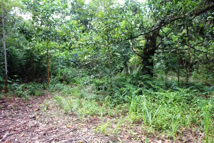 Sixth view of Homely land listing, 75 Forest Creek Road FOREST CREEK, Daintree QLD 4873