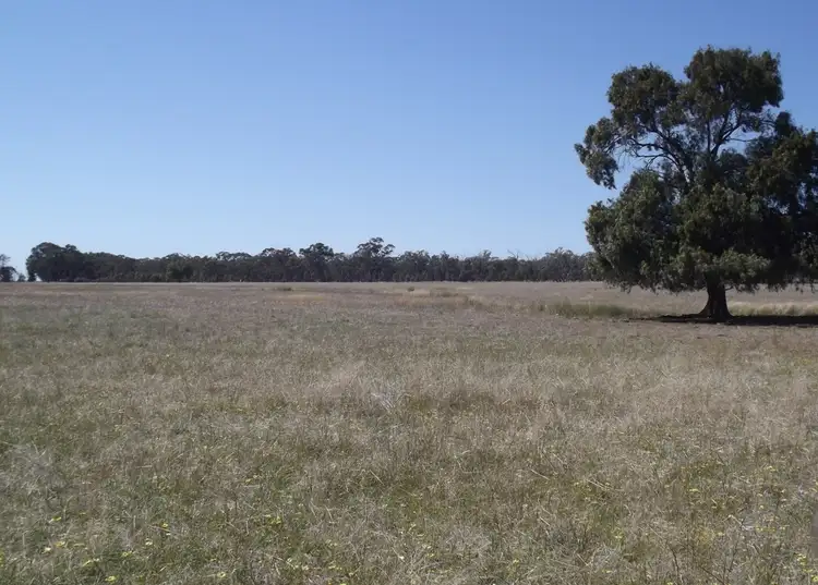 Second view of Homely rural property listing, 3261 The McGrane Way, Tullamore NSW 2874