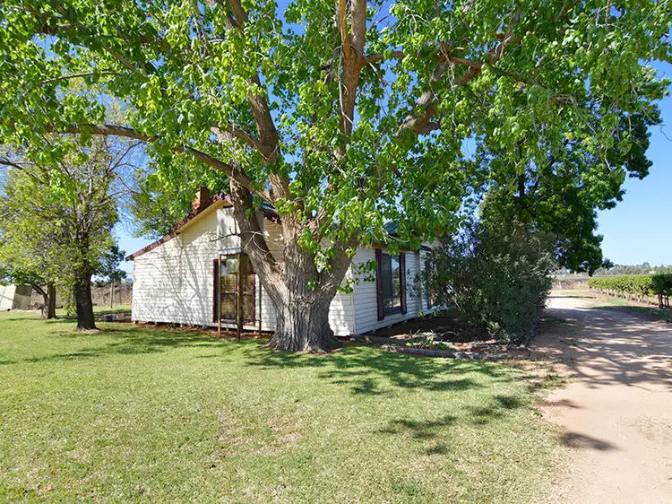 Main view of Homely house listing, 245 Cowanna Avenue South, Merbein South VIC 3505