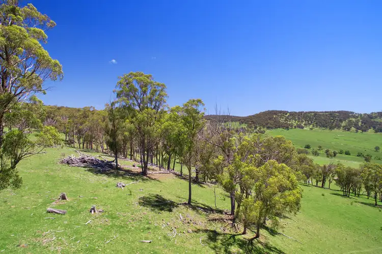 Seventh view of Homely rural property listing, 566 Brentwood Road, Guyra NSW 2365