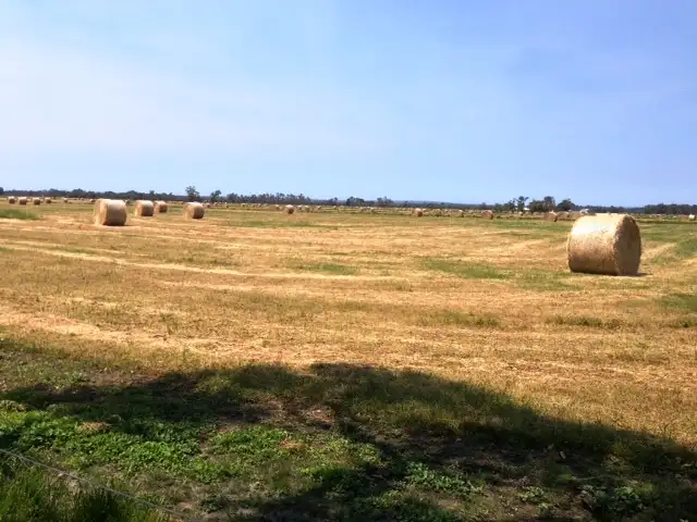 Second view of Homely rural property listing, Lot 3172 Glendon Road, Ludlow WA 6280