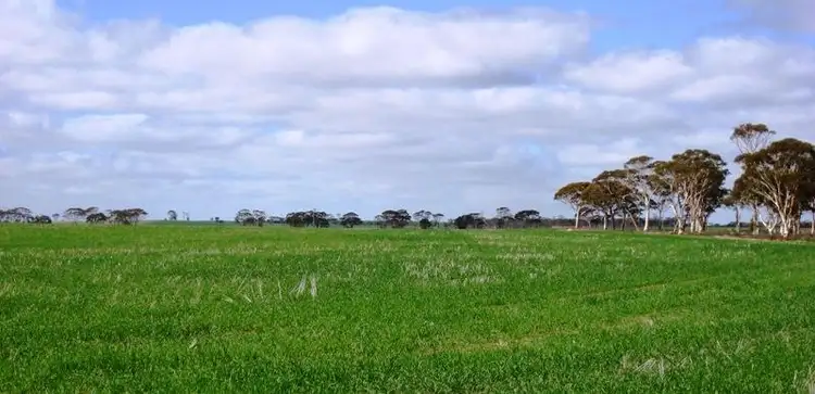 Sixth view of Homely rural property listing, Address available on request
