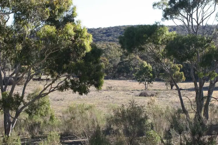 Main view of Homely rural property listing, Lot 1, 842 Tiyces Lane, Goulburn NSW 2580