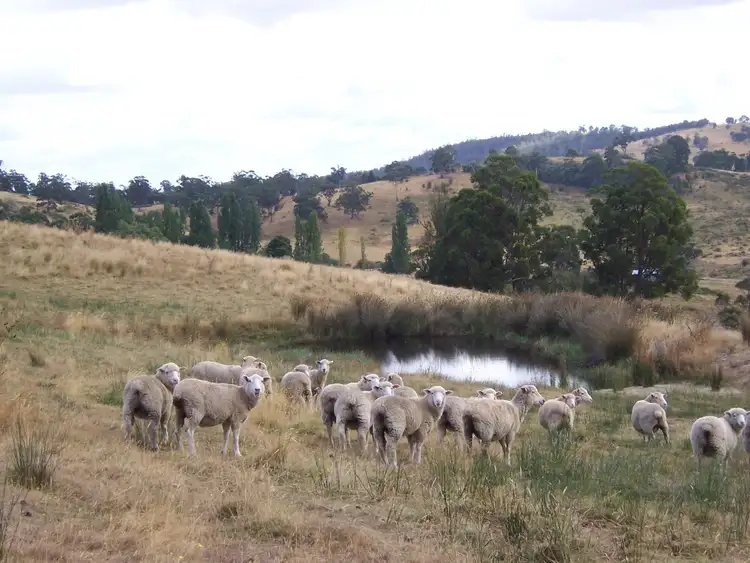 Second view of Homely rural property listing, . Gully Road, Fentonbury TAS 7140