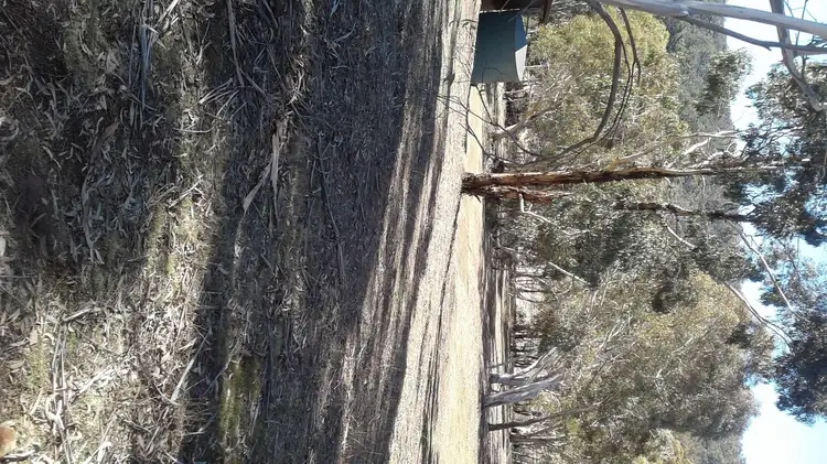 Sixth view of Homely land listing, 37 Peninsula Rd, Anglers Reach NSW 2629