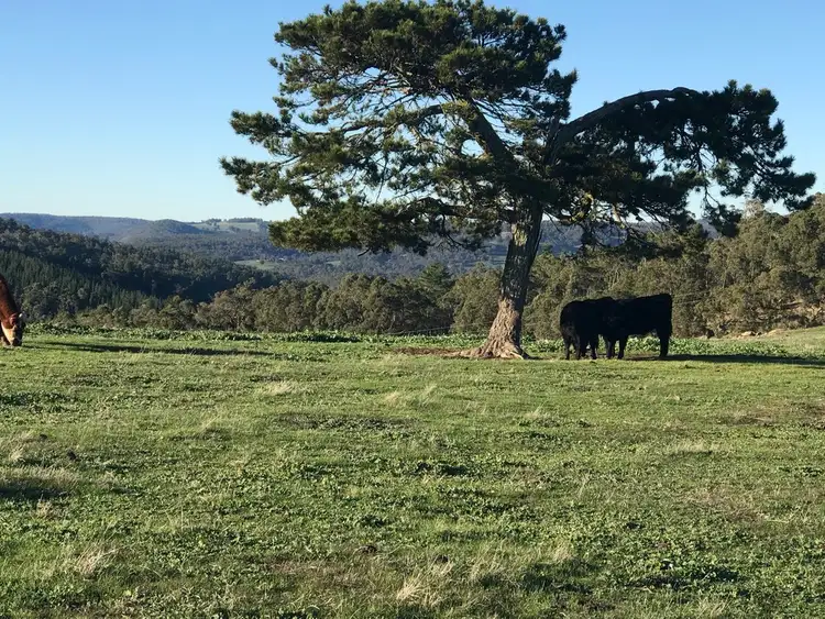 Sixth view of Homely rural property listing, 338 Honeymoon Road, Harvey WA 6220