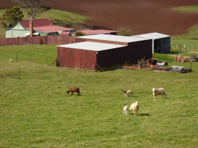 Second view of Homely rural property listing, 97 Winnaleah Road, Winnaleah TAS 7265