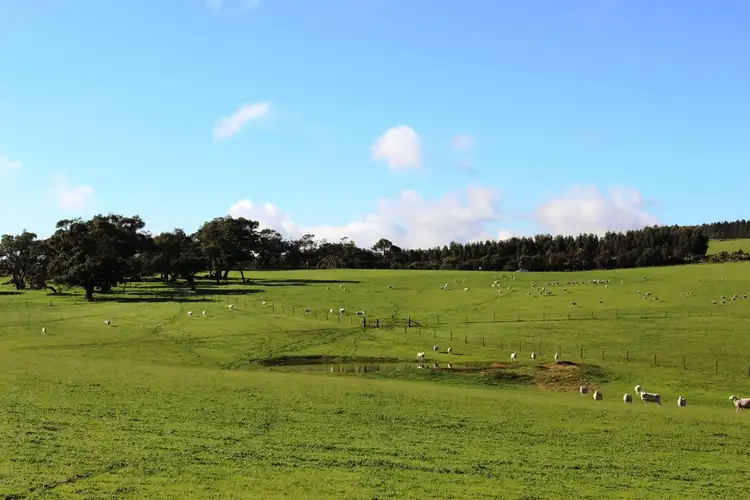 Second view of Homely rural property listing, A 22 Lanacoona Road, Mount Compass SA 5210