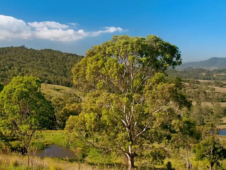 Fourth view of Homely rural property listing, Lot 16, 376 Torryburn Road, East Gresford NSW 2311