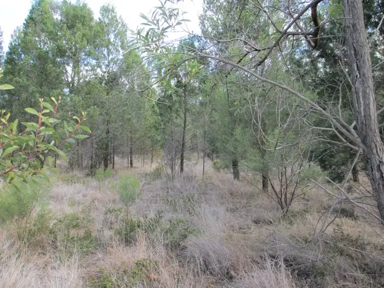 LOT 17 MALES DRIVE, Tara QLD 4421