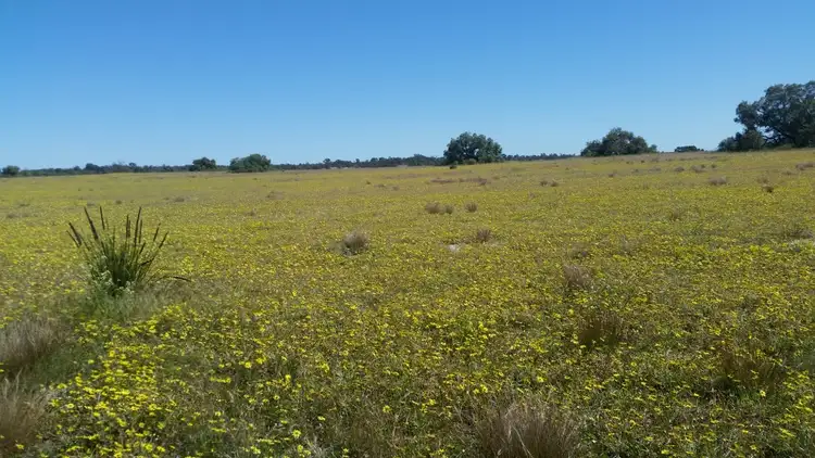 Second view of Homely rural property listing, 746 Brand Mudge Rd EGANU via, Coorow WA 6515