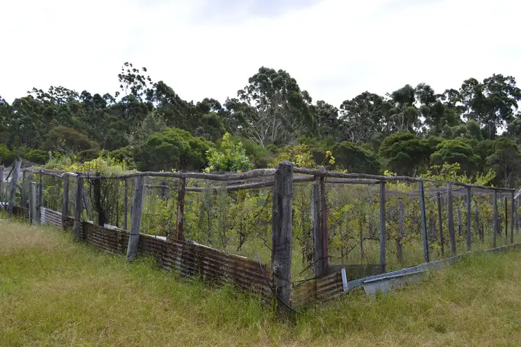 Sixth view of Homely land listing, Lot 96 Jerberra Road, Tomerong NSW 2540