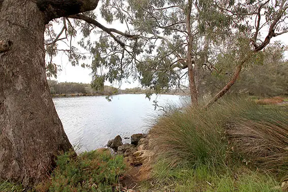 Fifth view of Homely land listing, Lot 326 Gallinago Loop, Coodanup WA 6210