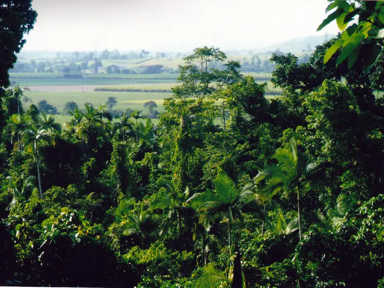 Second view of Homely rural property listing, LOT 2 WALTER LEVER ESTATE ROAD, Japoonvale QLD 4856