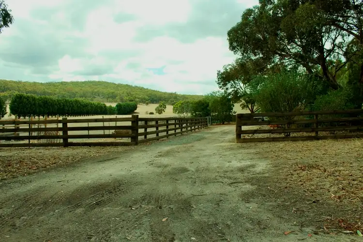 Main view of Homely house listing, 305 Dalgleishs Road, Beaufort VIC 3373