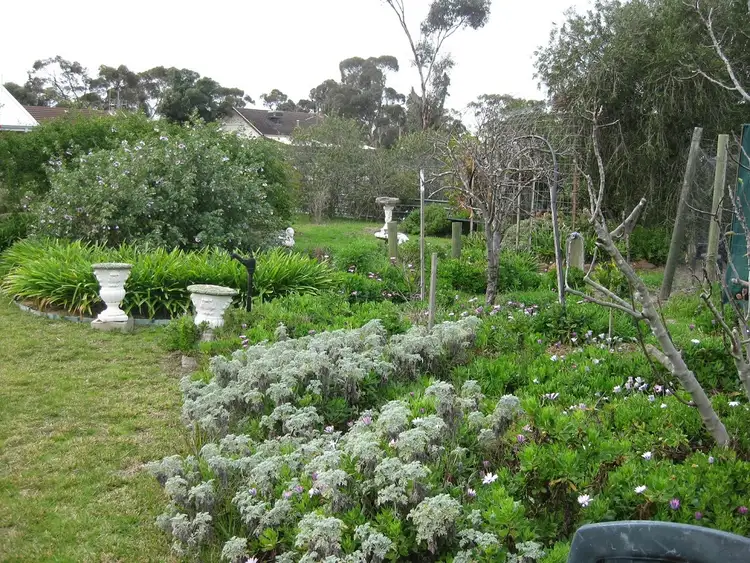 Third view of Homely house listing, 22 Gordon Street, Cranbrook WA 6321