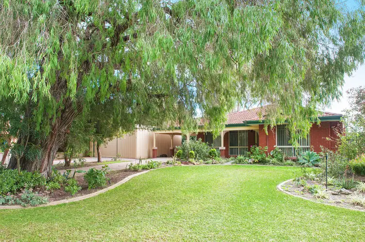 8 Greyteal Place, Broadwater WA 6280