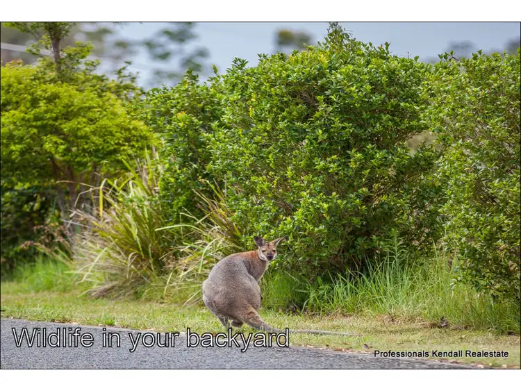 Seventh view of Homely land listing, 149 Jourdana Drive, Wongawallan QLD 4210