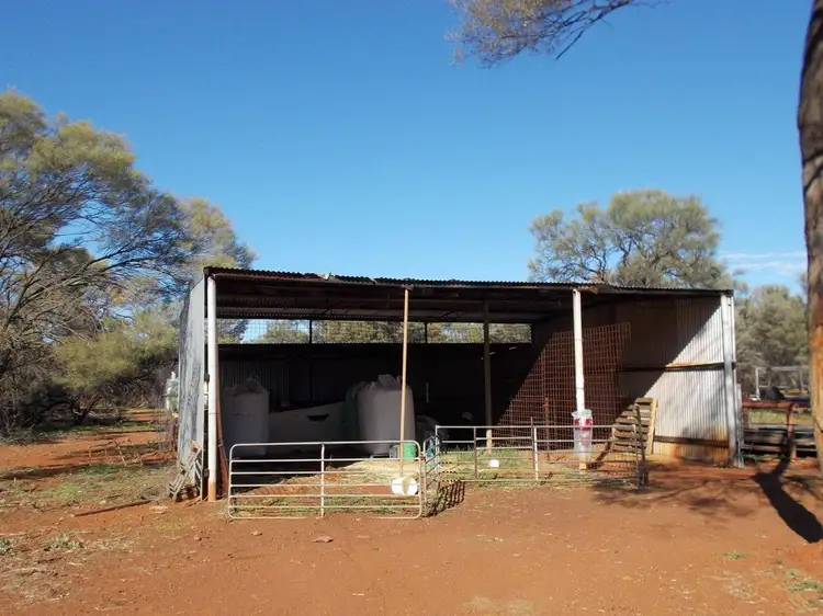 Seventh view of Homely rural property listing, - Weebo Staion, Leinster WA 6437