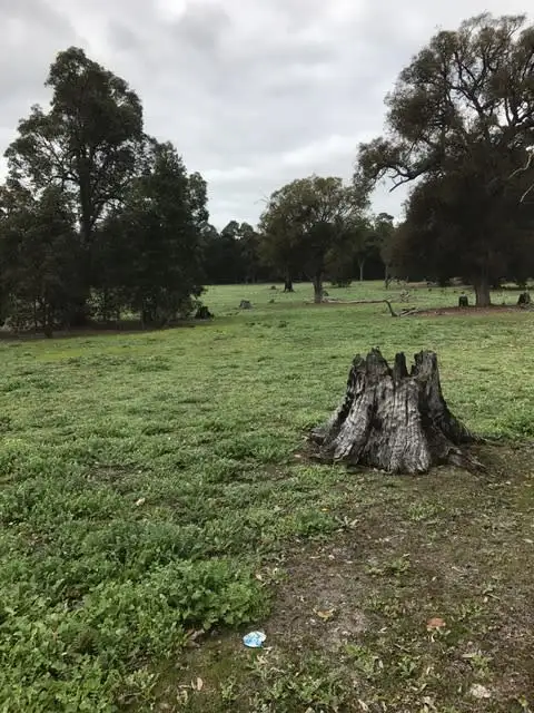 Fifth view of Homely land listing, 811 Perseverance Boulevard, Argyle WA 6239