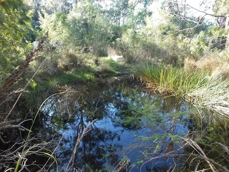 Fifth view of Homely rural property listing, 19 BARRABOOKA ROAD, Tanja NSW 2550