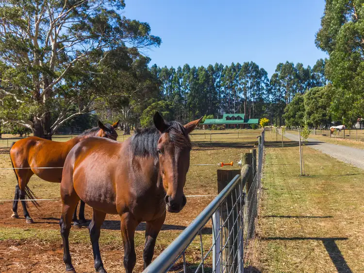 Second view of Homely rural property listing, 626 Prossers Road, Nunamara TAS 7259