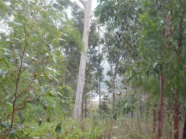 Fifth view of Homely rural property listing, Lot 5 Goat's Knob Road, Tathra NSW 2550
