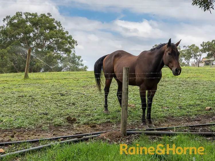 Sixth view of Homely house listing, 13 Ambulance Road, Verdun SA 5245