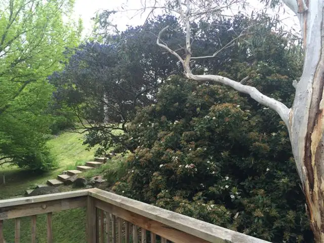 Main view of Homely apartment listing, 1/16 Cobbon Crescent, Jindabyne NSW 2627