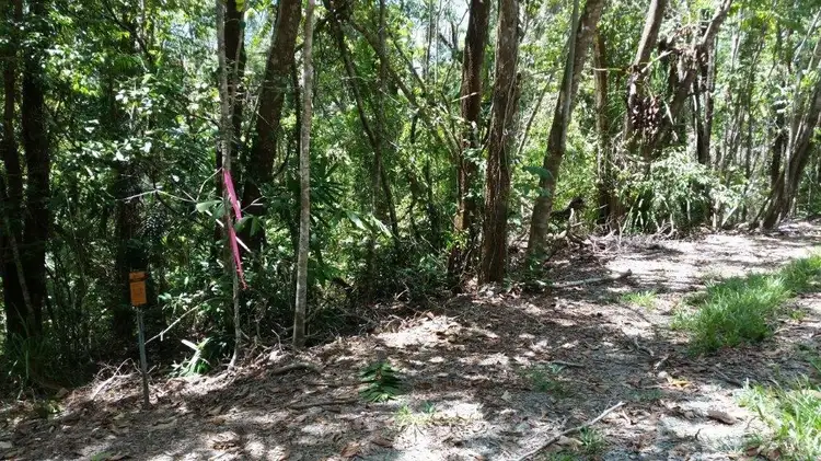 Sixth view of Homely land listing, Lot 10 Andrew Road, Forest Creek,, Daintree QLD 4873