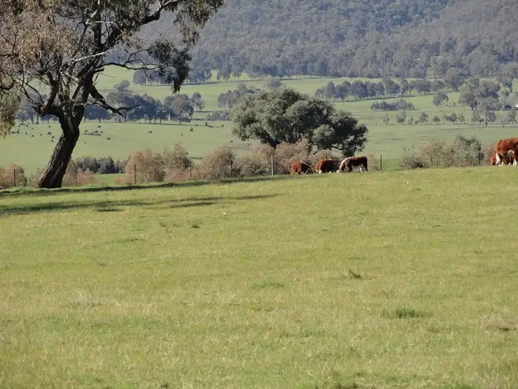 Sixth view of Homely rural property listing, Lots 1&2 Blacks Flat Road, Mudgegonga VIC 3737