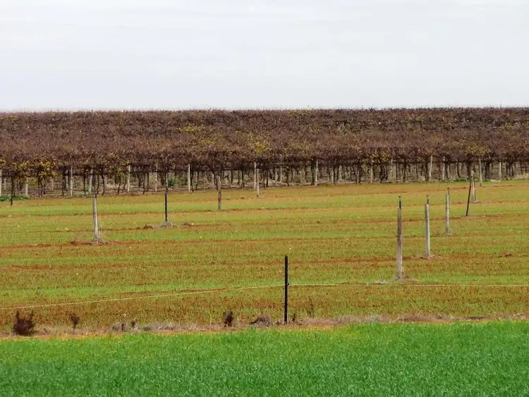 Seventh view of Homely rural property listing, Section 38 Hundred of Gordon, Loxton North SA 5333