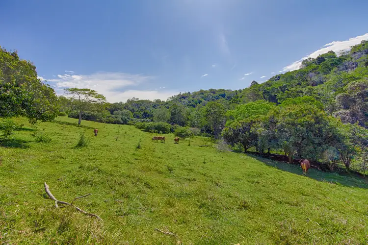 Fourth view of Homely house listing, 332 Eastern Branch Road, Kin Kin QLD 4571