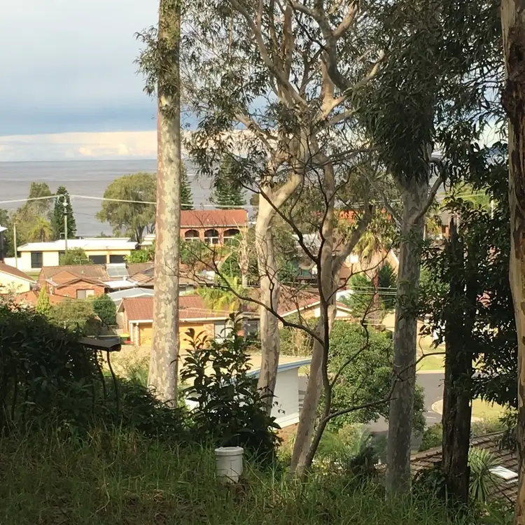 115 Palana Street, Surfside NSW 2536