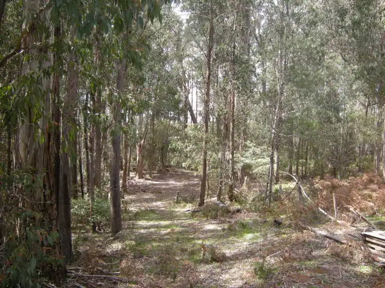 Sixth view of Homely other listing, 1545 Orbost -Bendoc Road, Bendoc VIC 3888